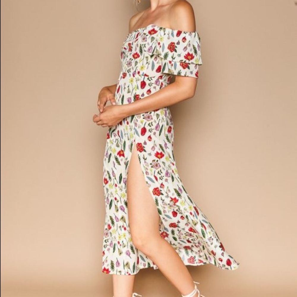 Stone cold fox versilla dress.